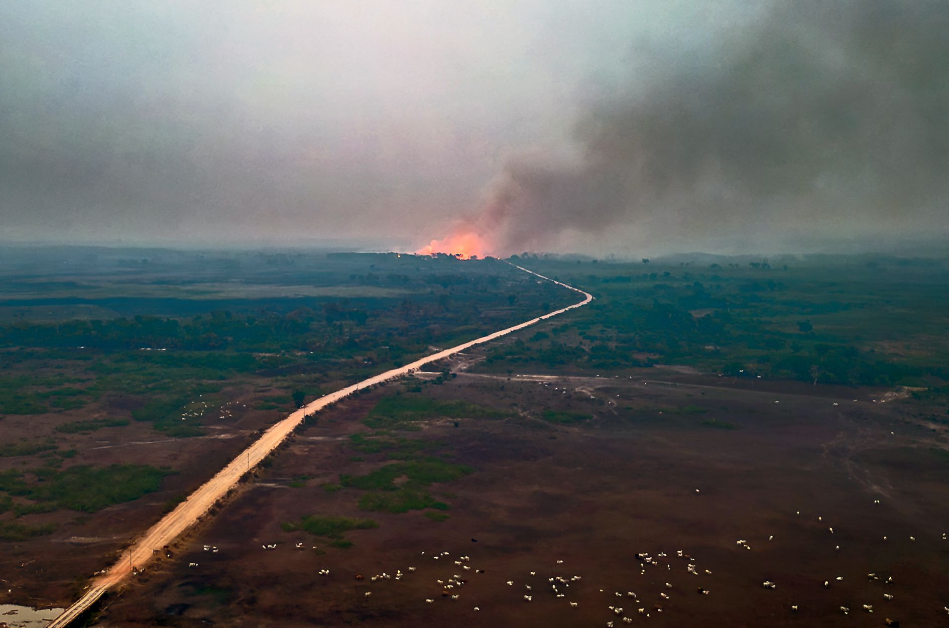 Les incendies liés à l'expansion agricole et au changement climatique