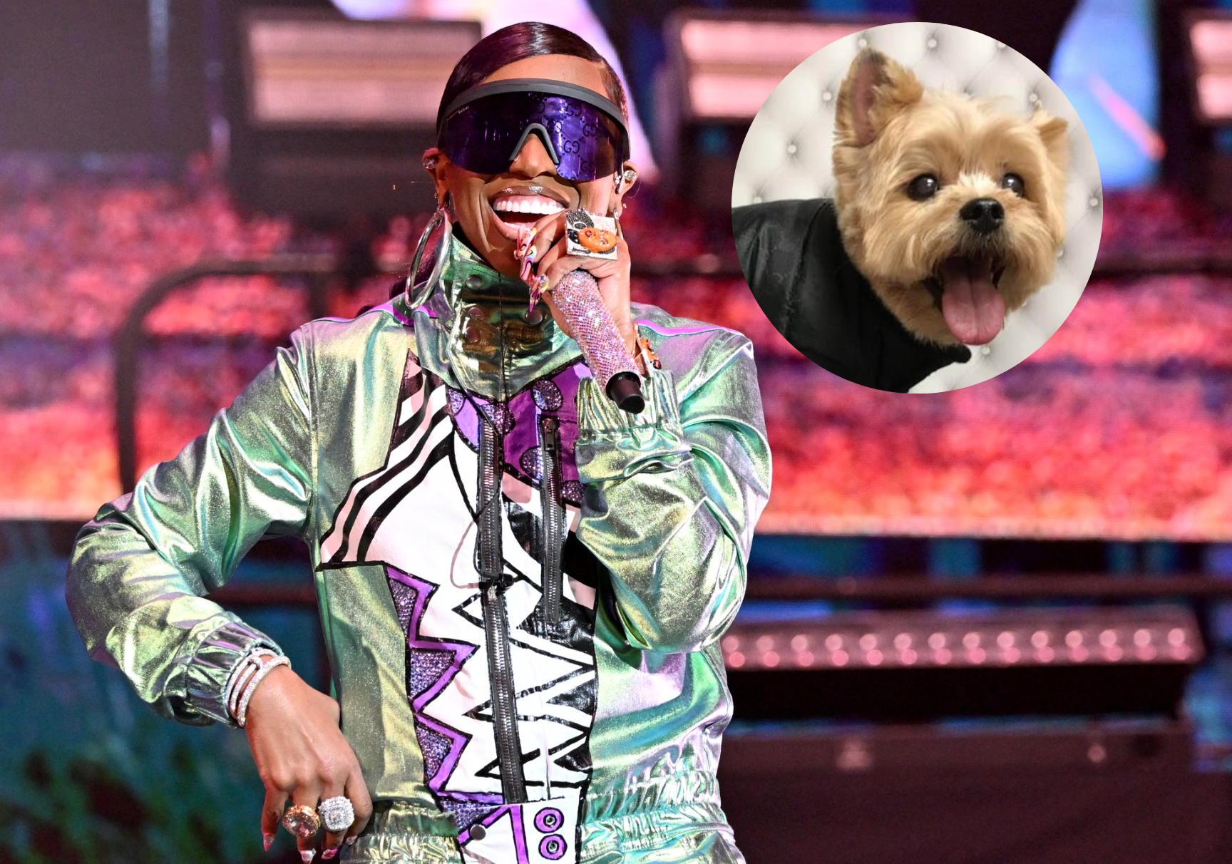 Missy Elliott a reporté sa tournée pour s'occuper de son chien