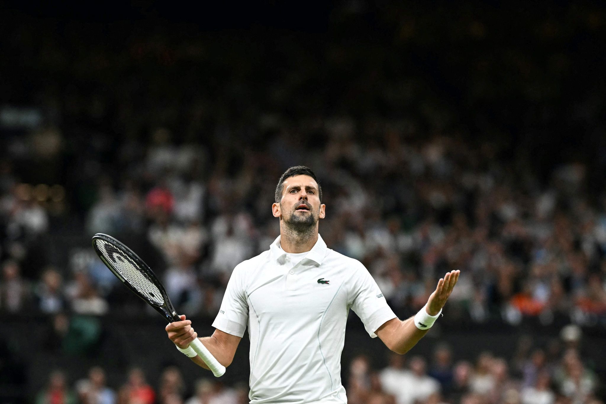 Novak Djokovic ne fait pas de quartier et fonce en quarts