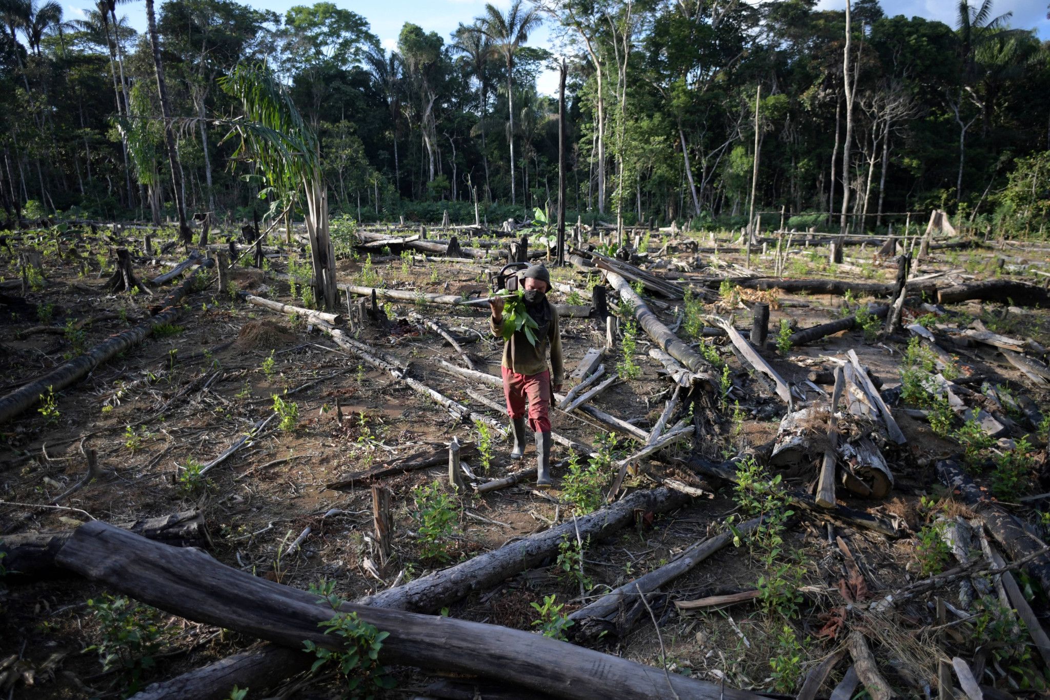 Déforestation en baisse en 2023