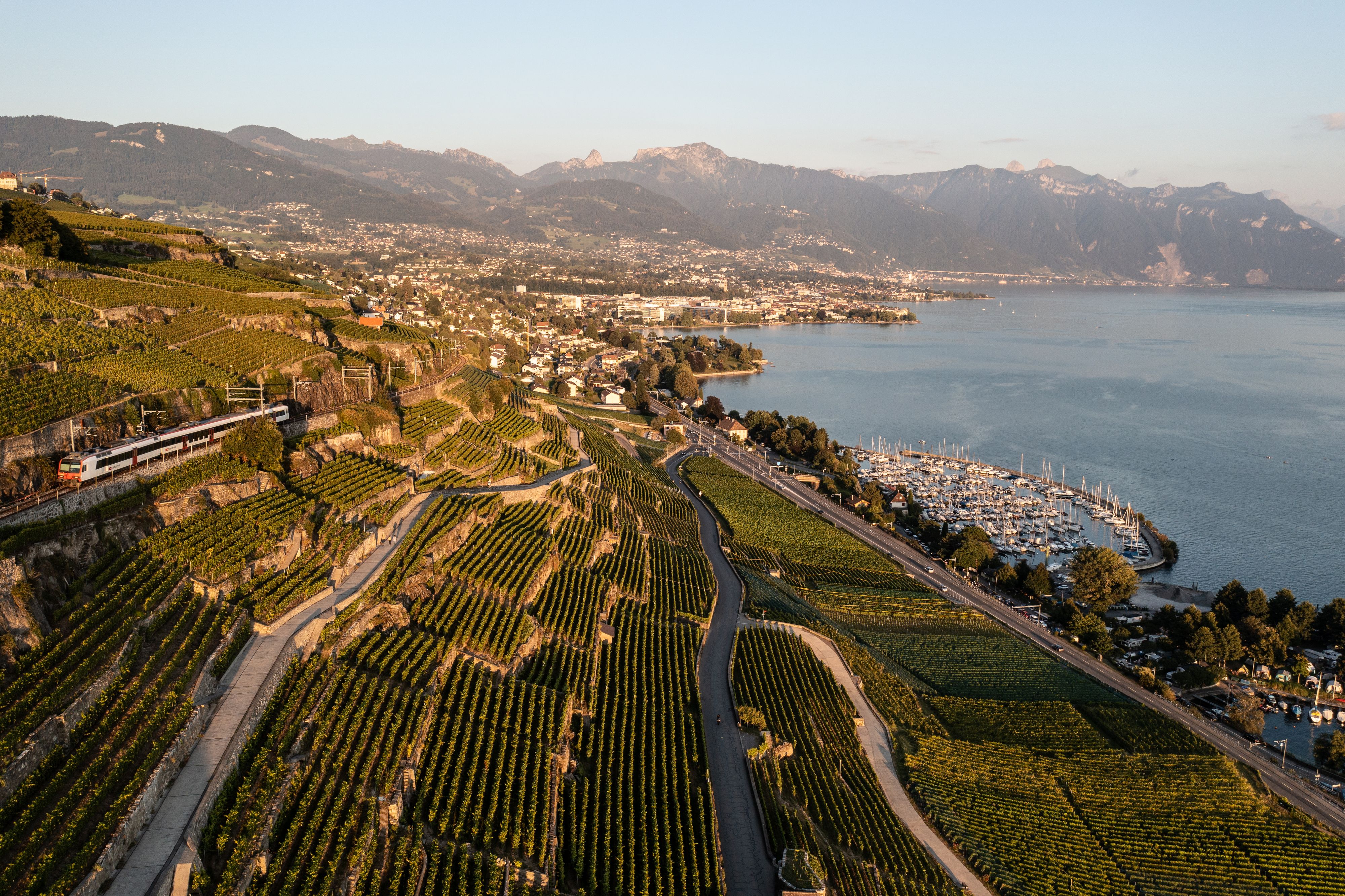 Nuit tropicale sur les bords du Léman et en Suisse