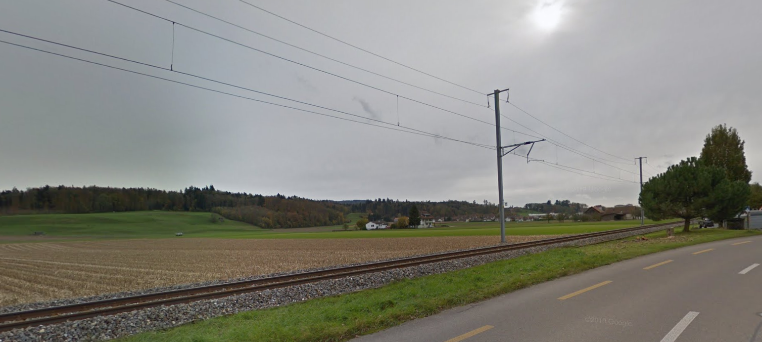 Un homme et deux chiens happés et tués par un train