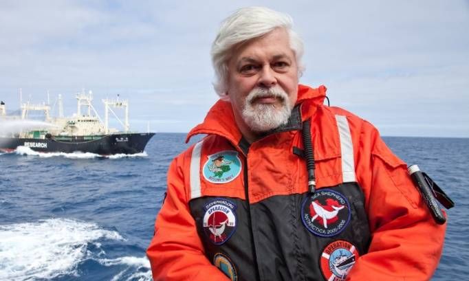 Chasse à la baleine: Paul Watson a été arrêté au Groenland