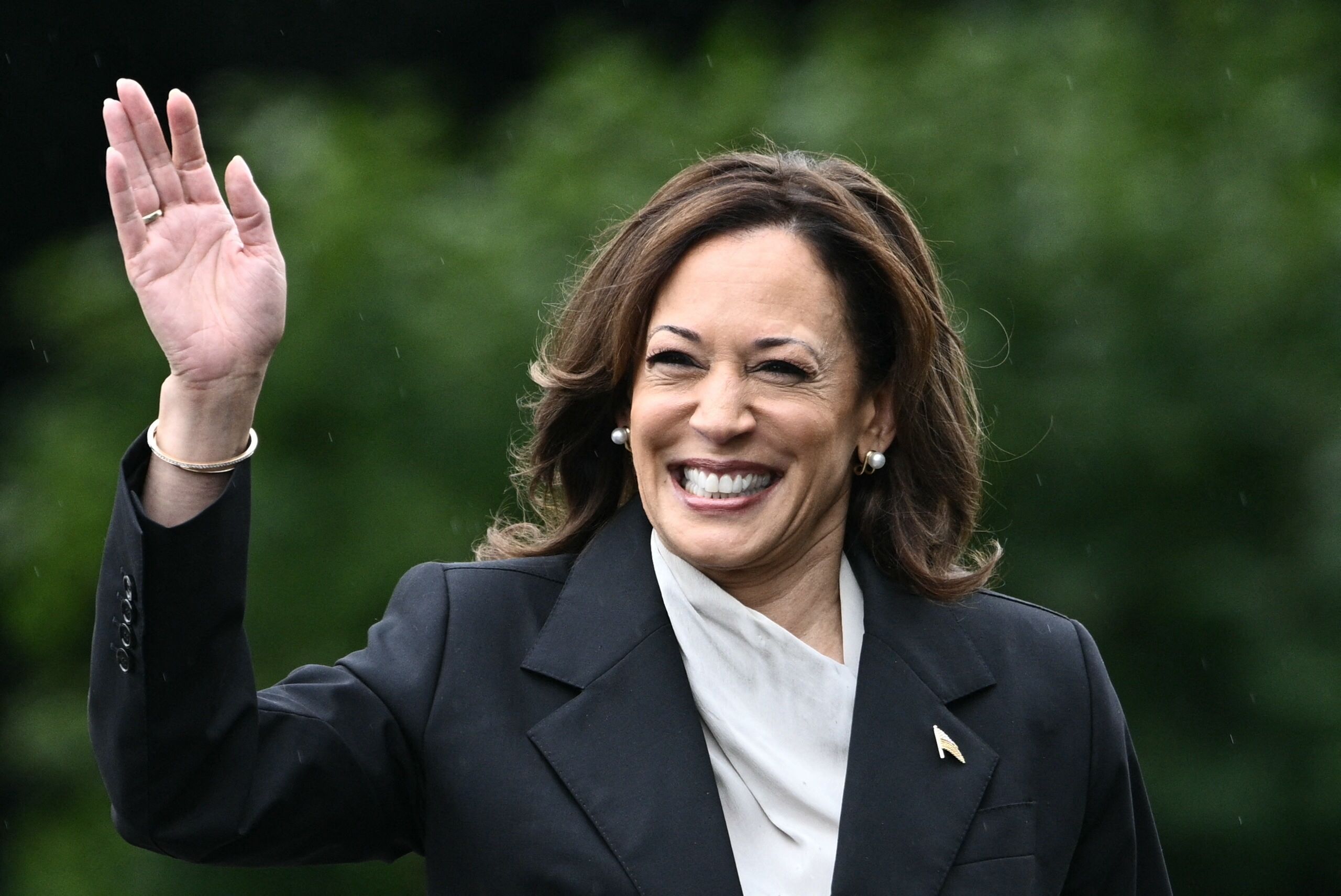 Le cocotier, symbole insolite du soutien à Kamala Harris