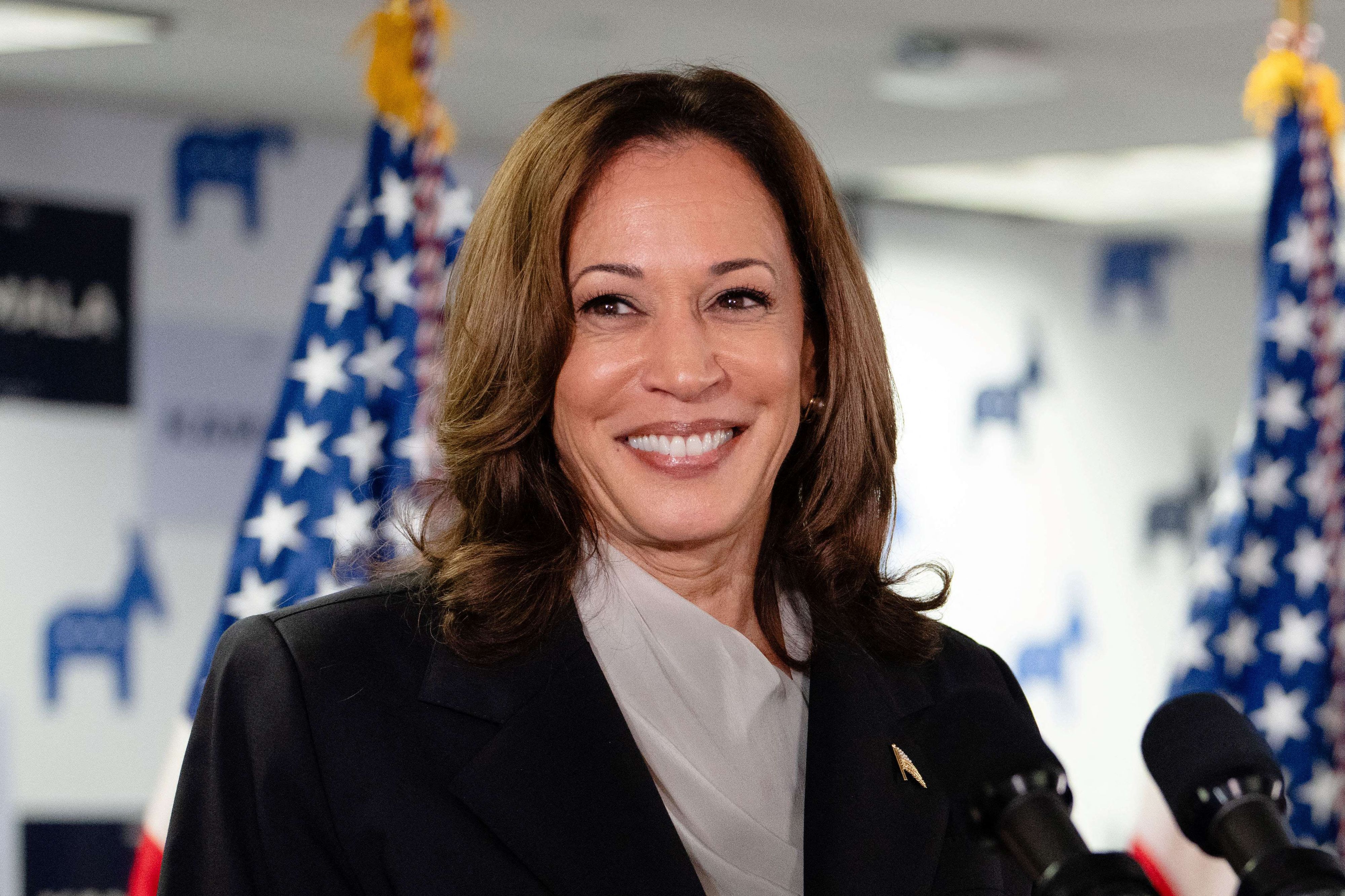 Kamala Harris habillée pour l'hiver par ses détracteurs, et ce n'est qu'un début