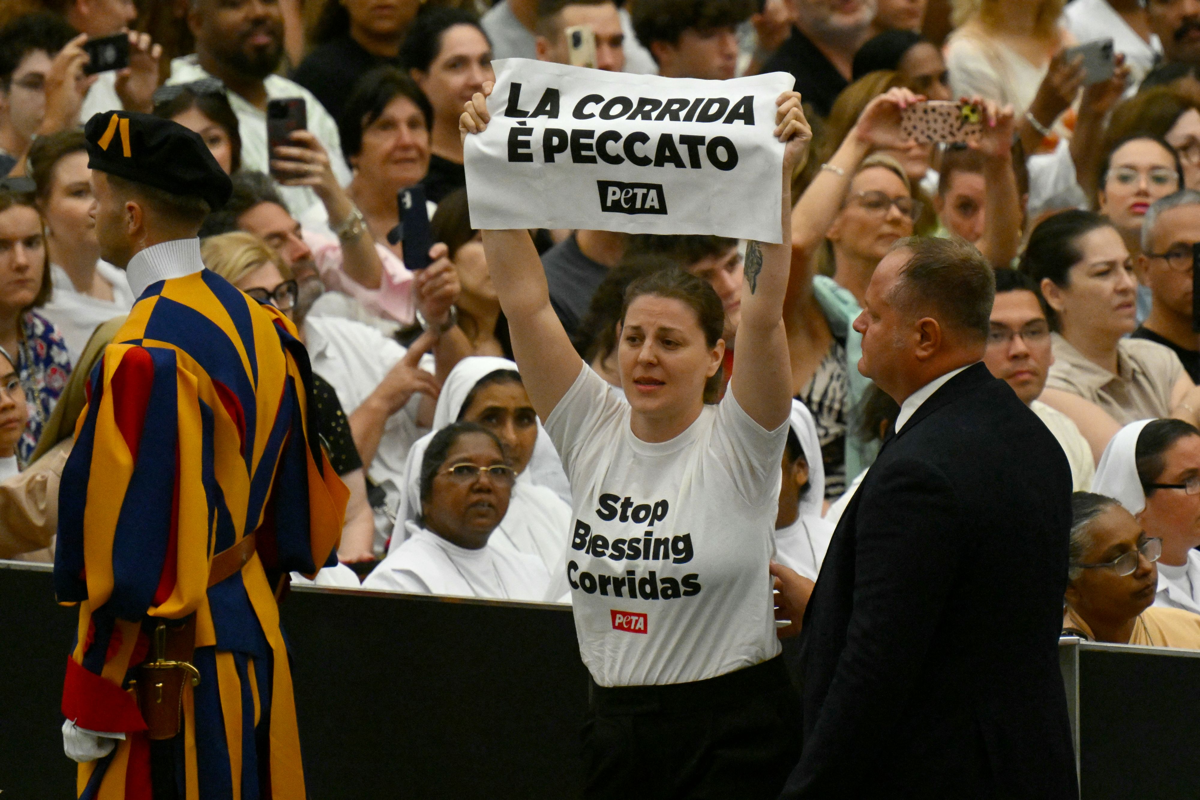 Des militants anti-corrida interrompent le pape