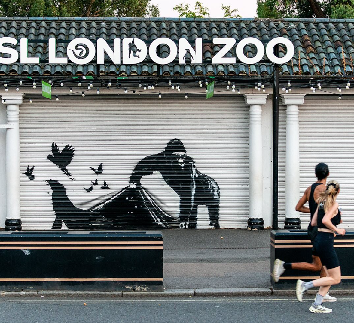 Les animaux de Banksy envahissent Londres