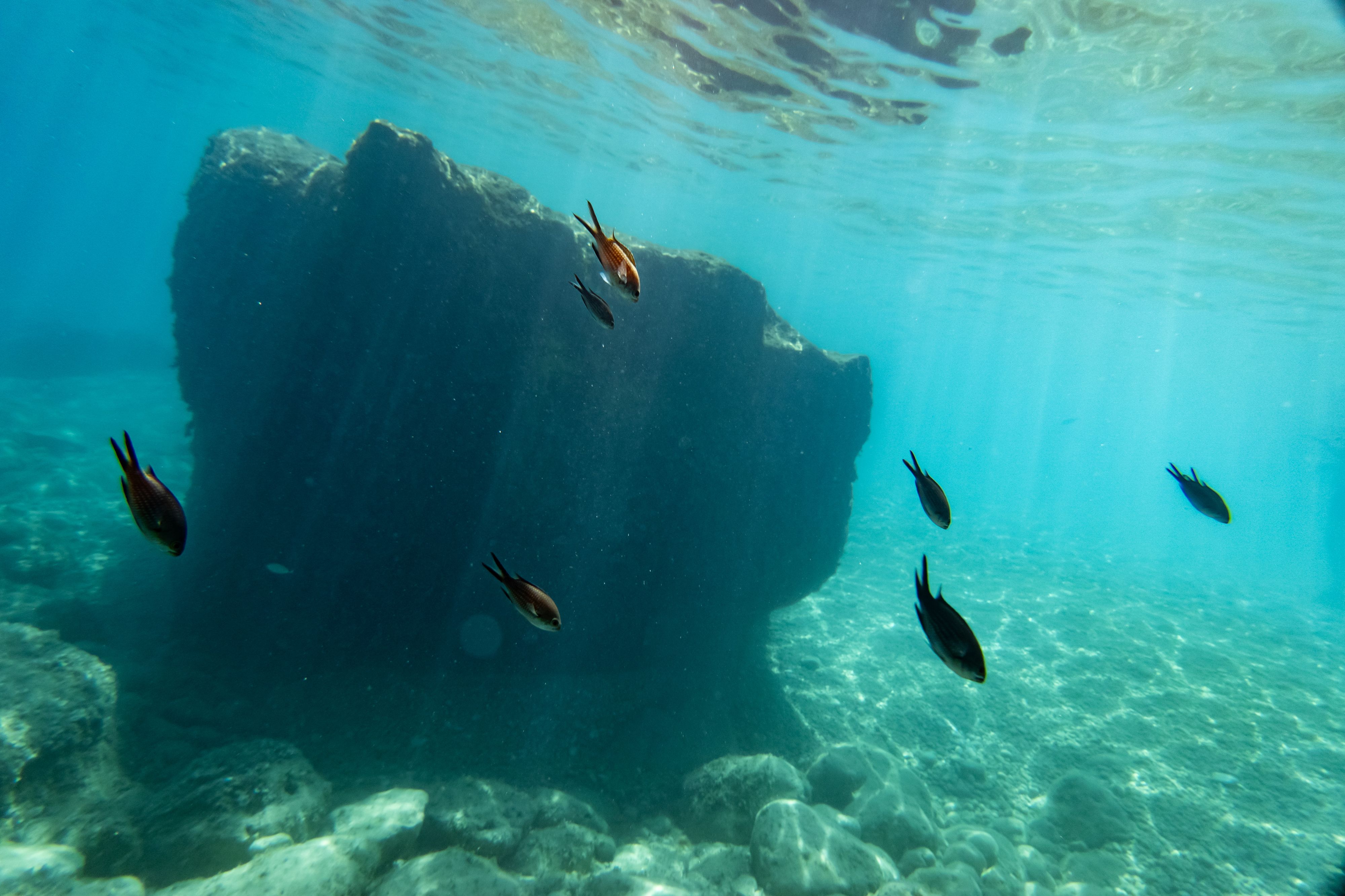 La mer Méditerranée égale ses records de température de 2023