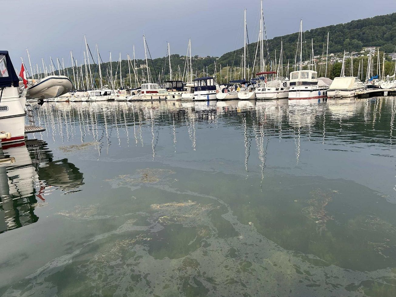 Les responsables d'une pollution à Cheyres identifiés