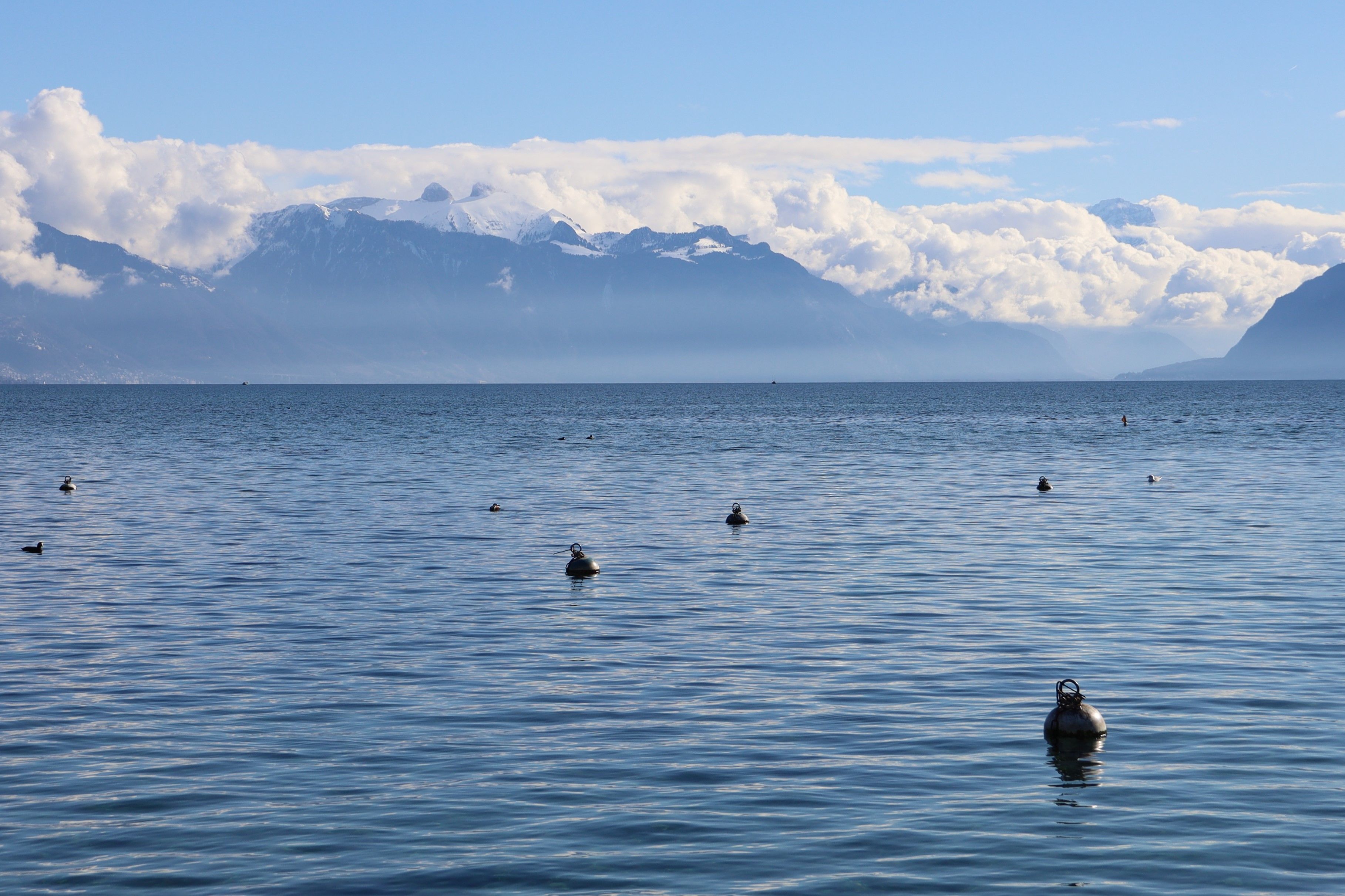 Dans le lac Léman, le plastique est une menace permanente