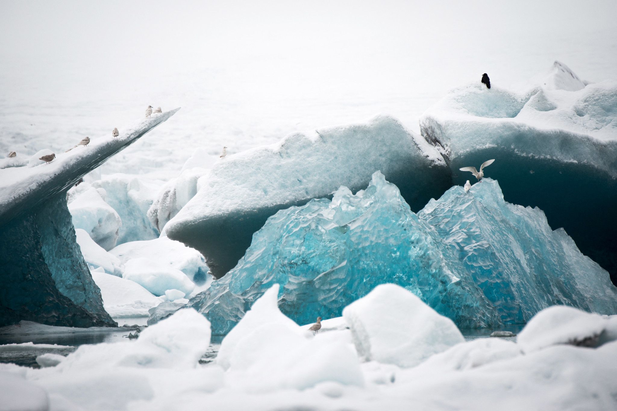 Effondrement d'une grotte de glace: deux disparus