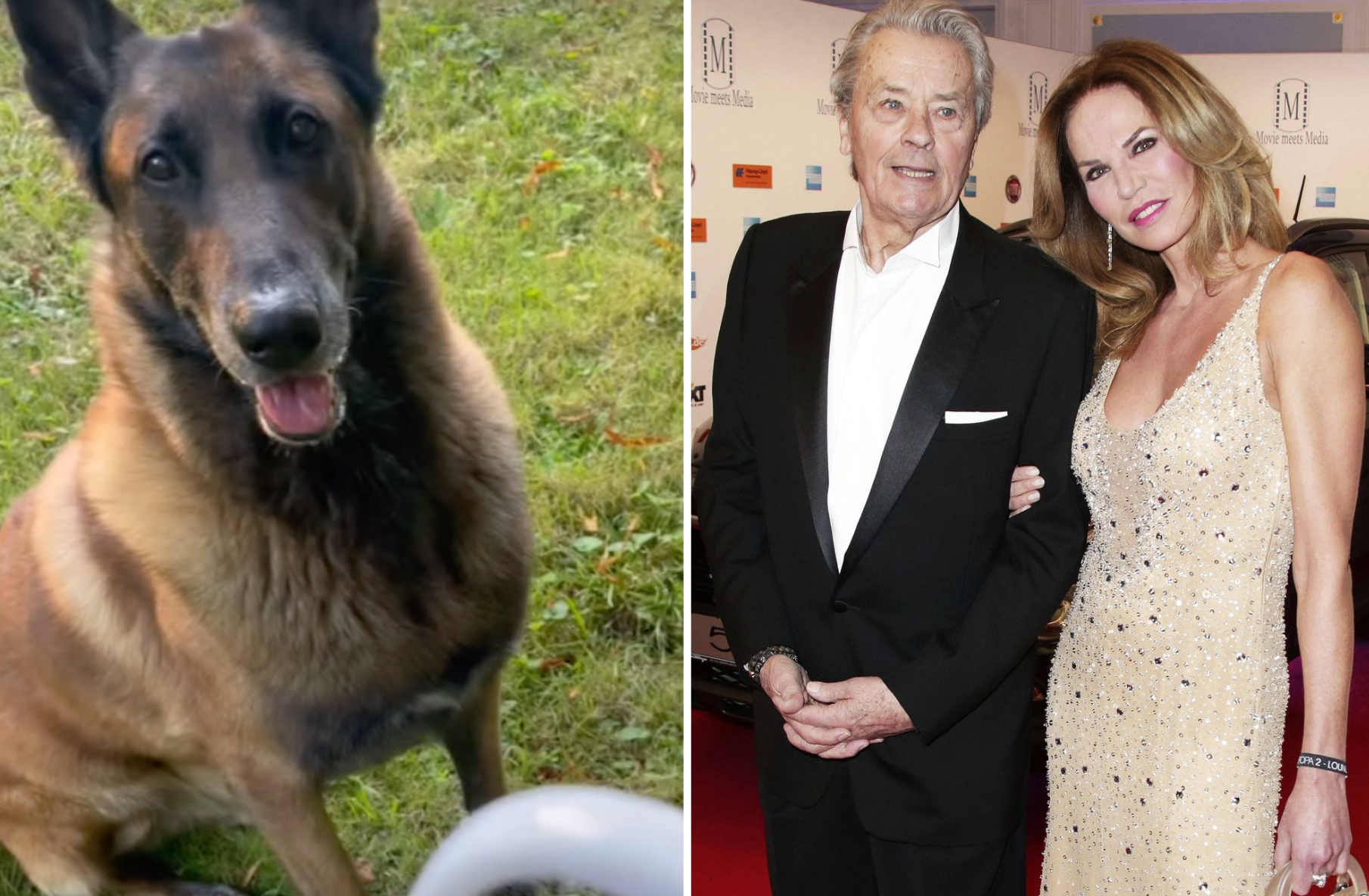 L'ex d'Alain Delon donne des nouvelles de son chien