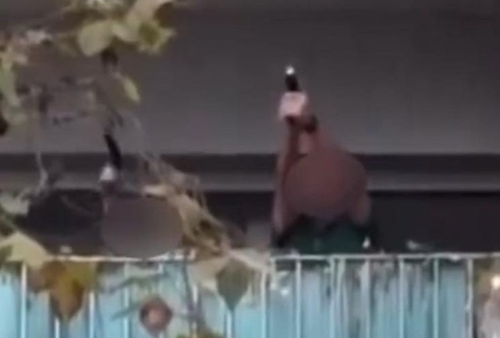 Un policier alcoolisé qui a tiré depuis un balcon condamné