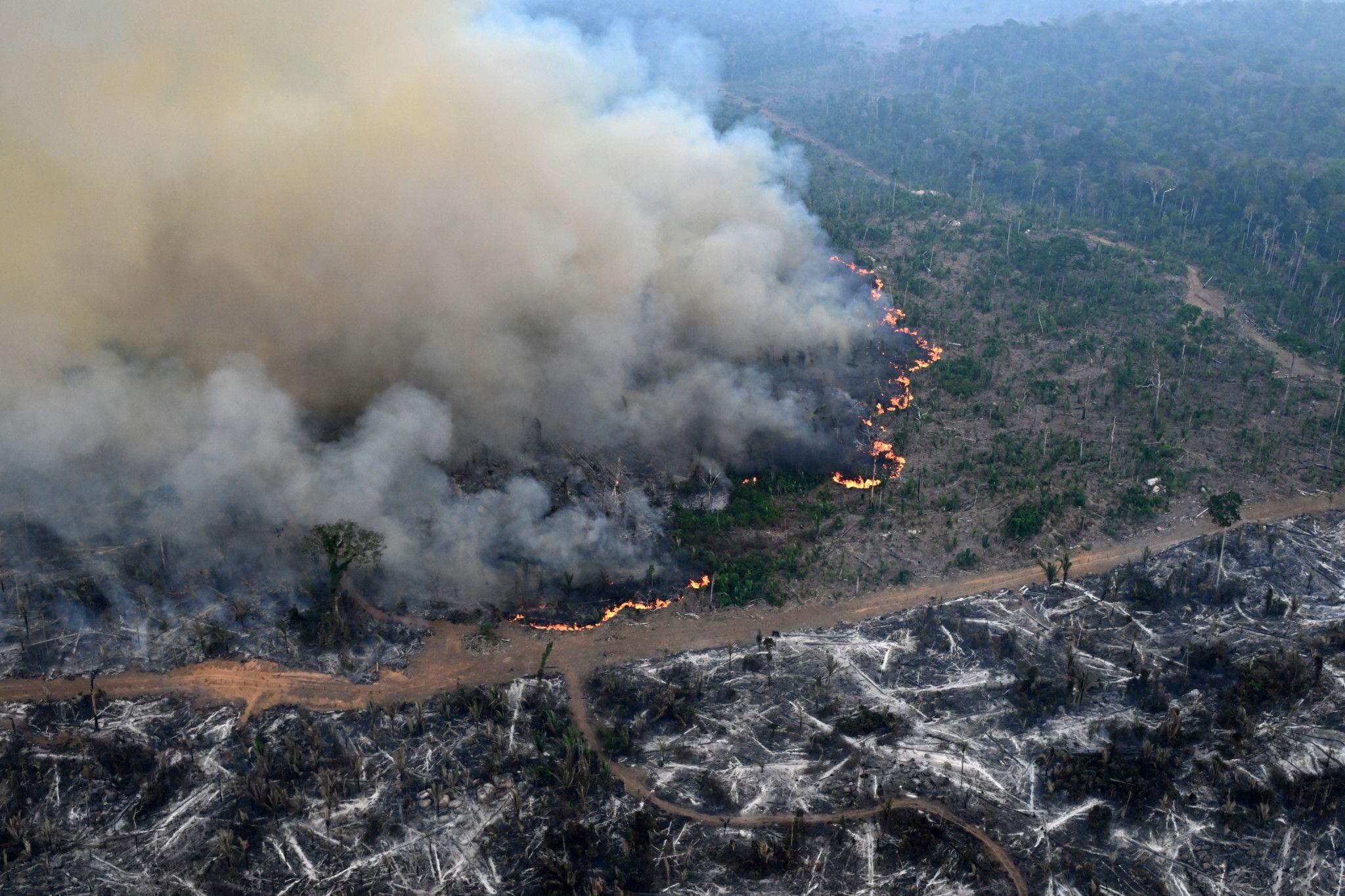 Déforestation et incendies: alertes tous azimuts sur l'Amazonie