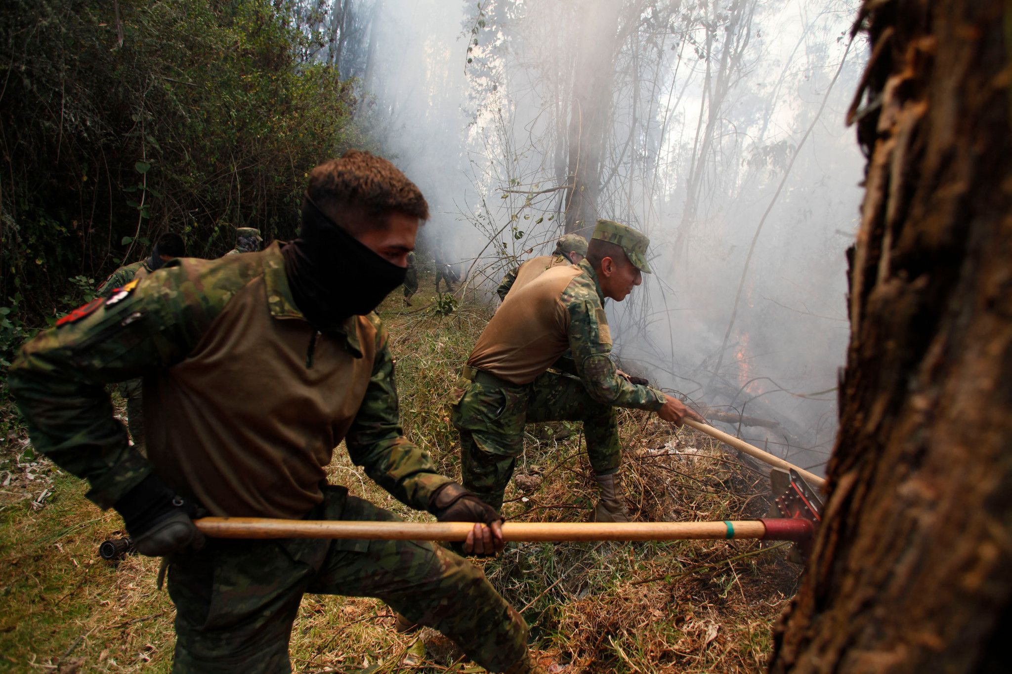 Quito en «état d'urgence» face à 27 incendies de forêts