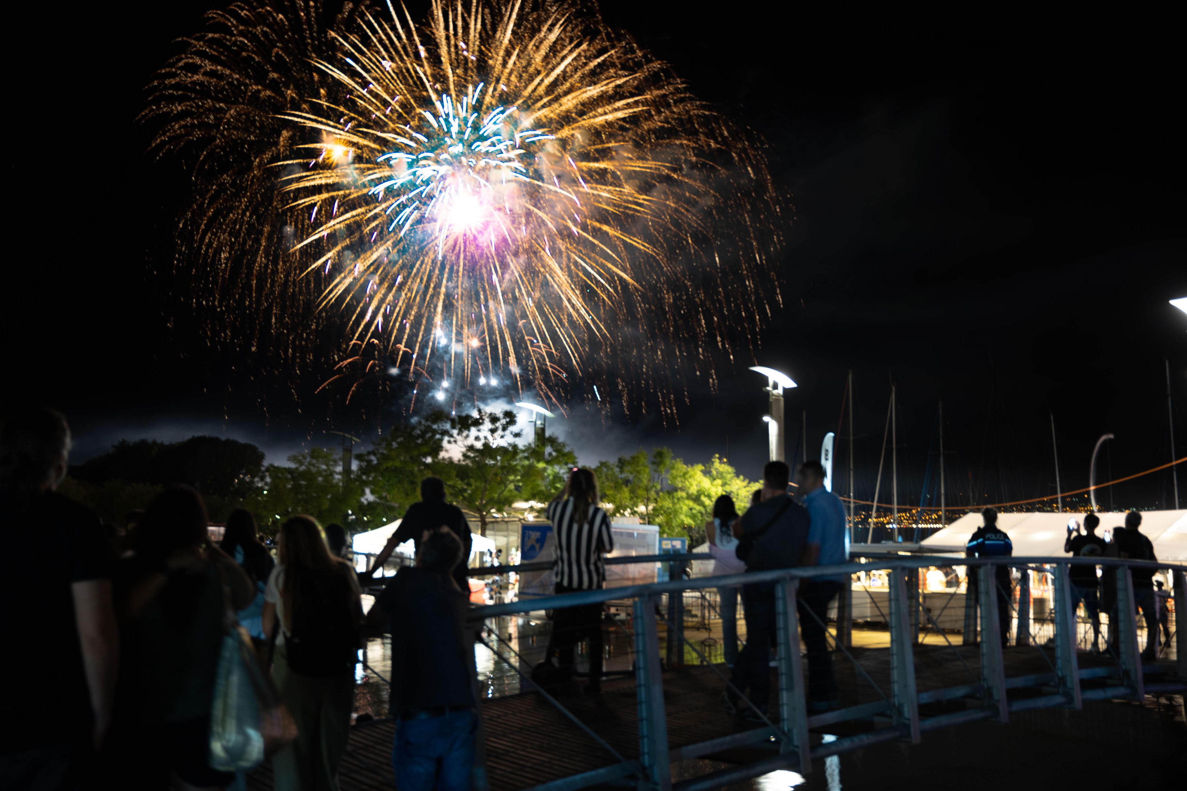 Le Conseil fédéral ne veut pas limiter les feux d'artifice