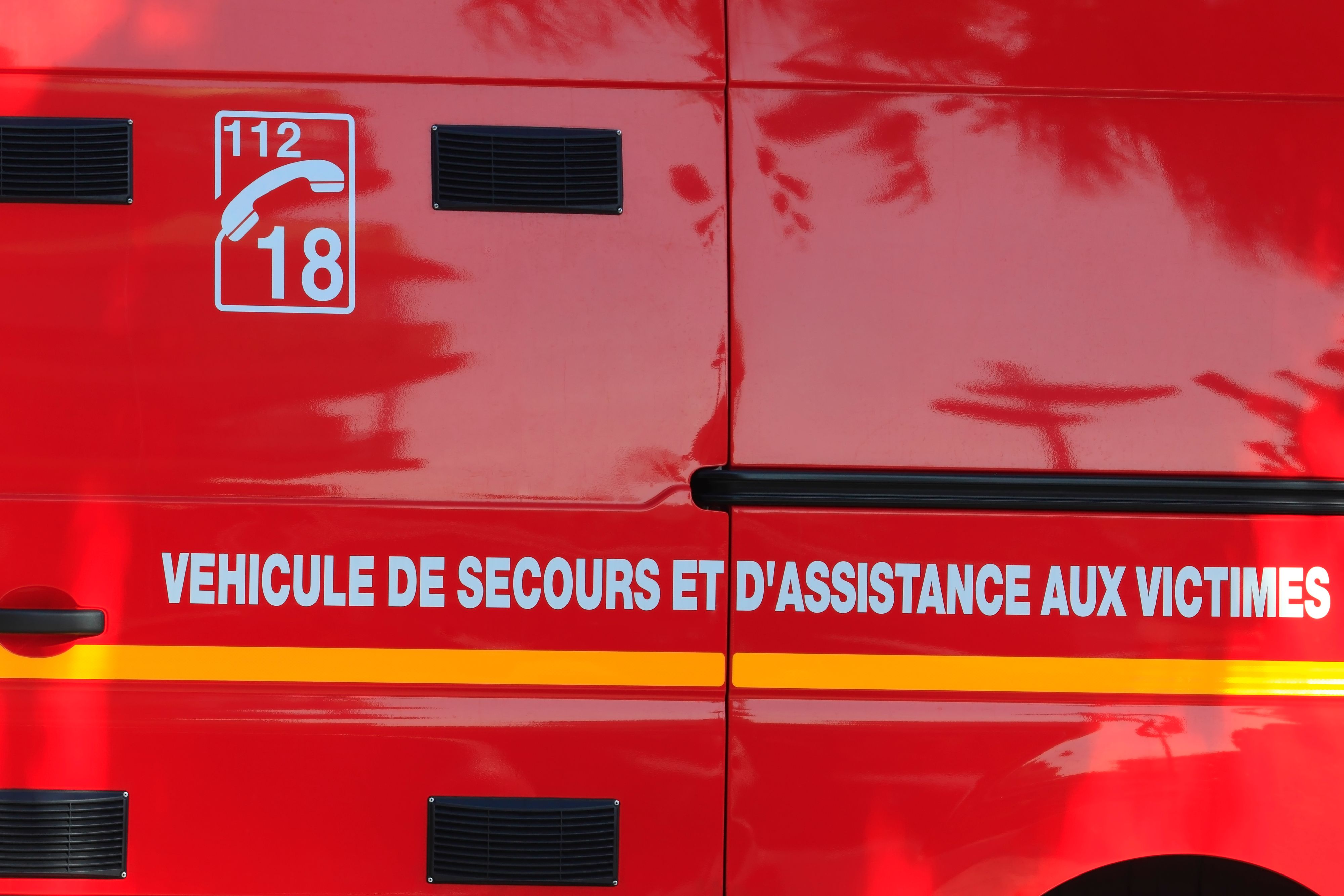 Un homme qui était avec ses fillettes meurt écrasé par un arbre