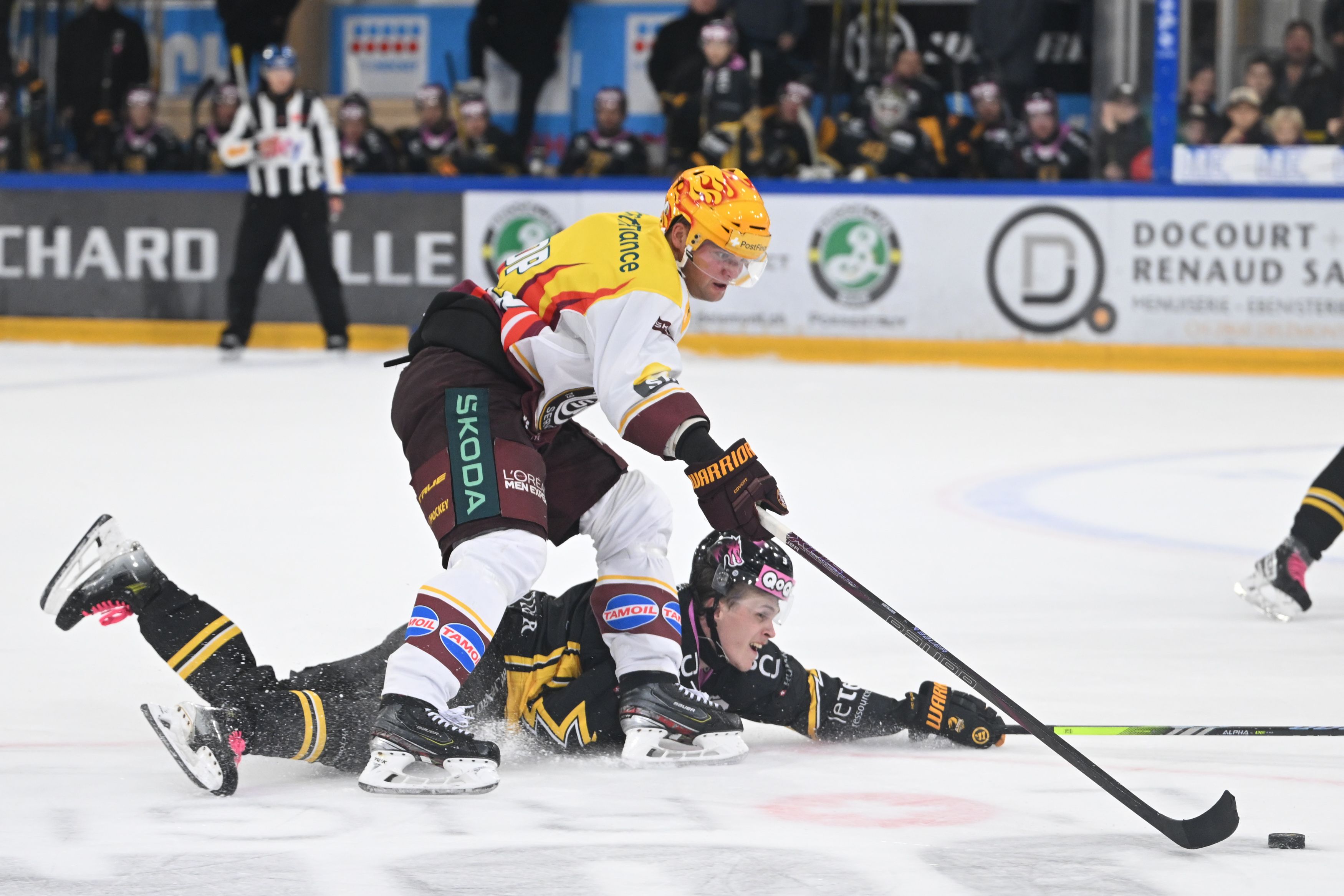 Ajoie battu par Genève-Servette, son entraîneur est en danger