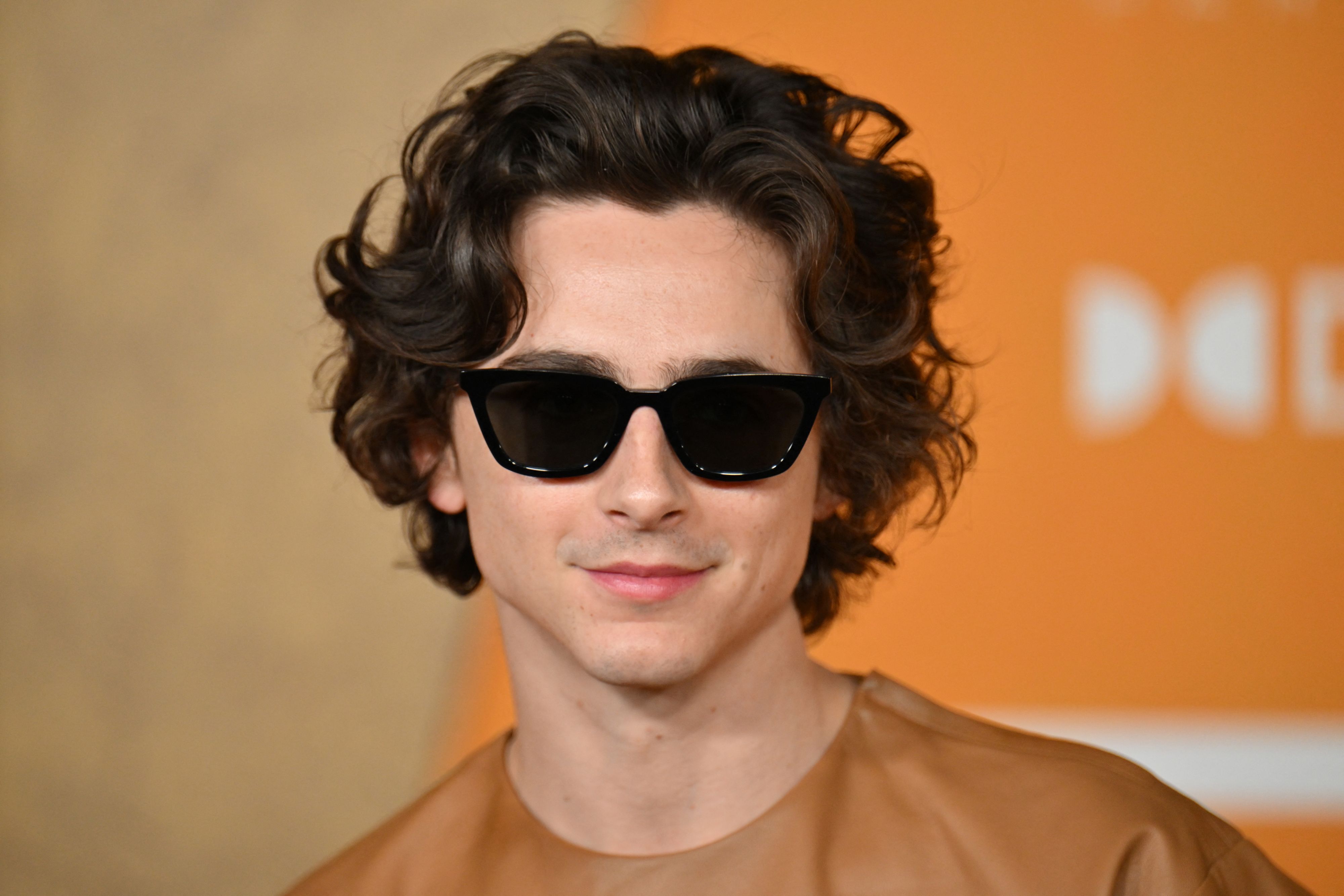 Quand Timothée Chalamet s'invite à son propre concours de sosies